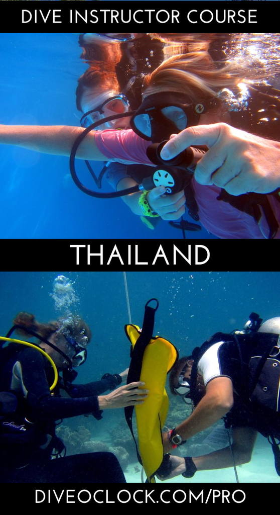 PADI Instructor Course IDC and MSDT Prep internship - Koh Samui - Thailand