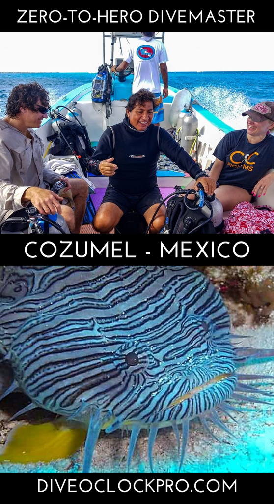 PADI Zero to Hero Cozumel Divemaster Internship - Cozumel - Mexico