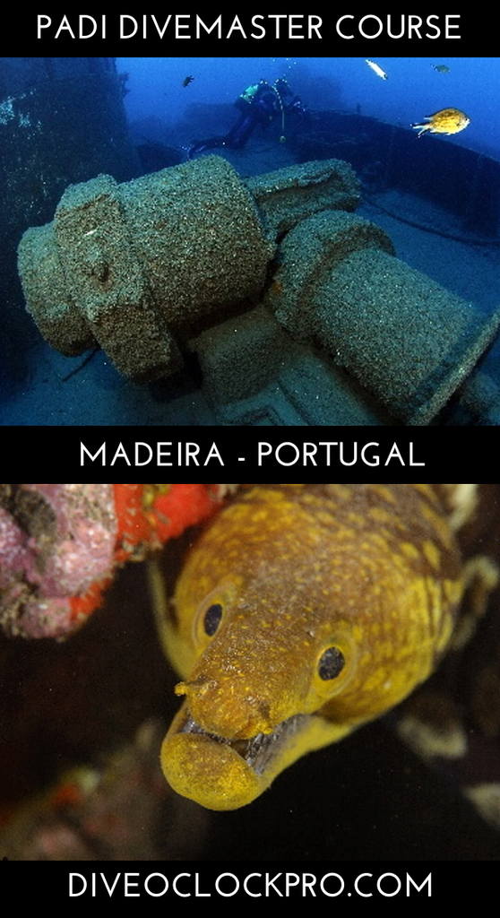 PADI Divemaster Course - Funchal - Portugal