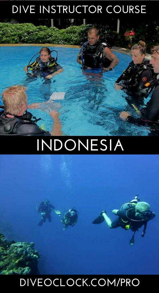 SSI Instructor Training Course - Bali - Indonesia