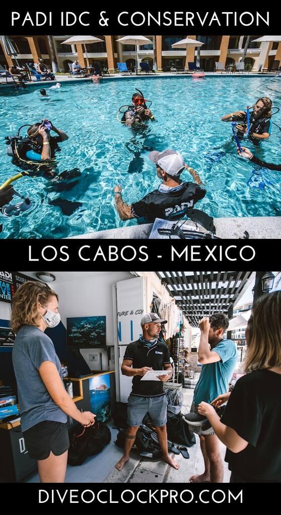 Ninja PADI Instructor Development Course (IDC) with Conservation & Sustainable Tourism Workshops - Cabo San Lucas - Mexico