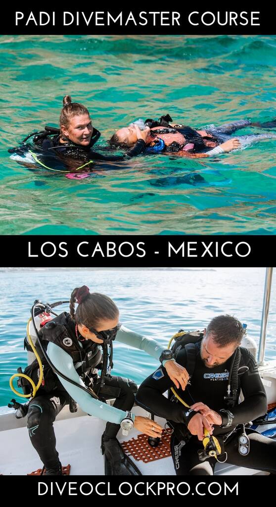 PADI Divemaster Ninja Training - Cabo San Lucas - Mexico