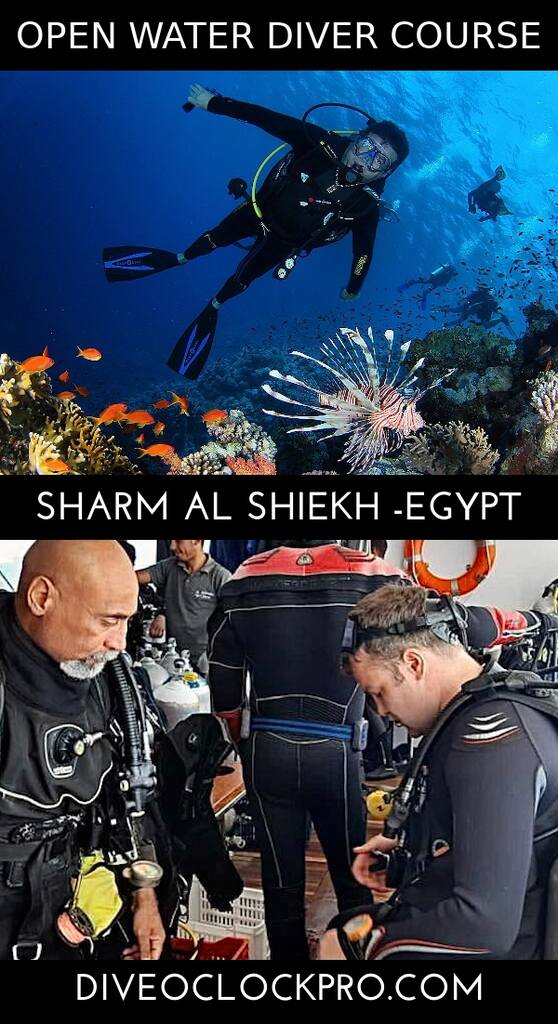 PADI Open Water Diver Course - Sharm Al Shiekh - Egypt