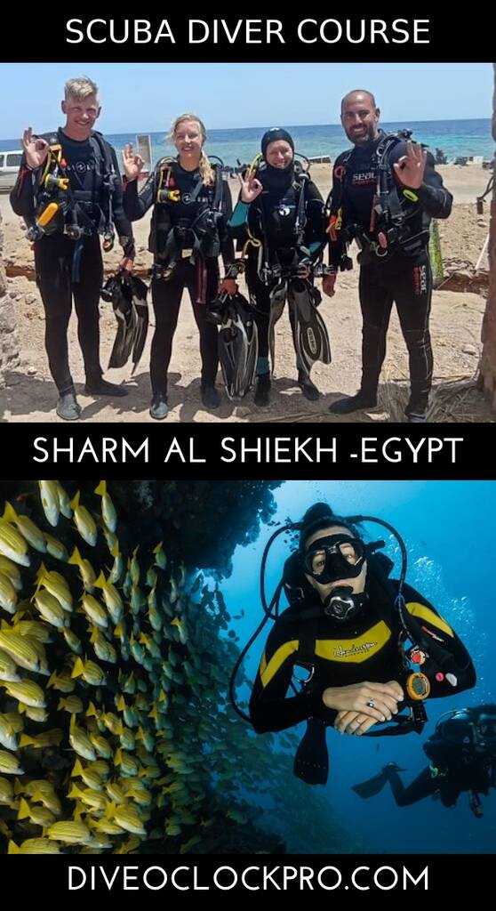 PADI Scuba Diver Course - Sharm Al Shiekh - Egypt