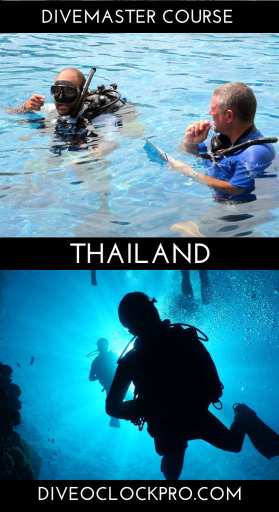 PADI Divemaster Course - Koh Samui - Thailand