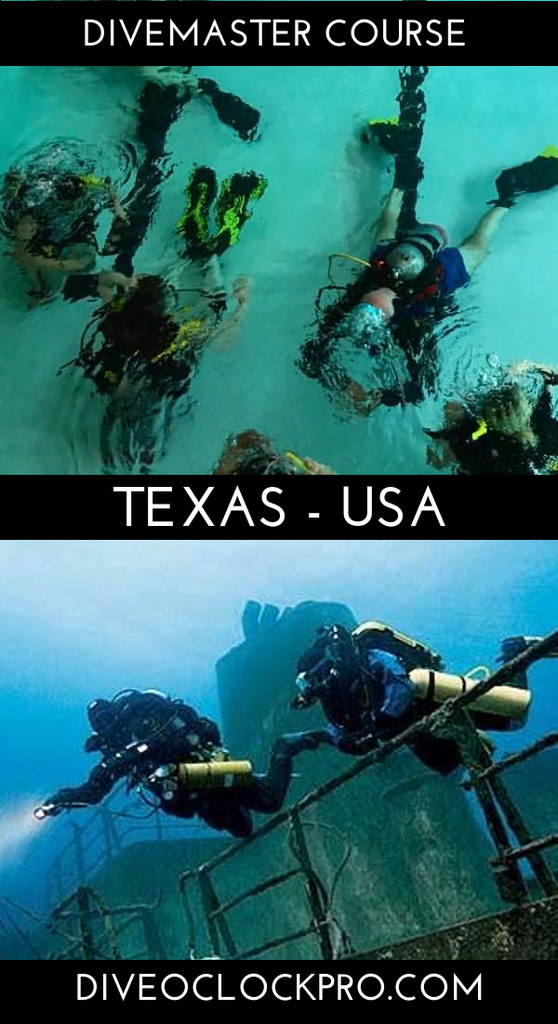 PADI DIVEMASTER - Houston - United States