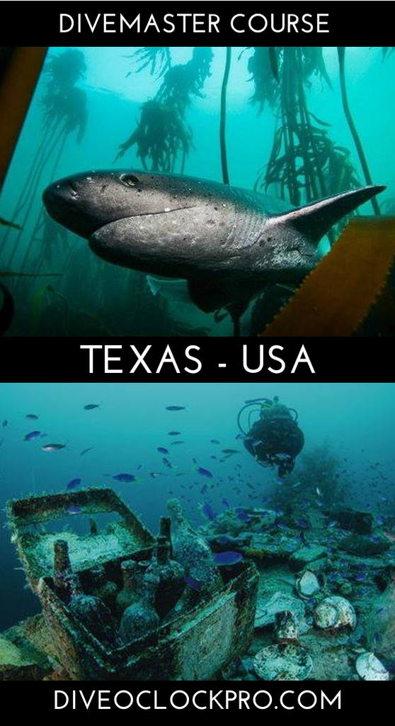 TDI DIVEMASTER - Houston - United States